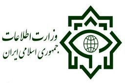کارشناسان ضدجاسوسی وزارت اطلاعات چه گفتند؟