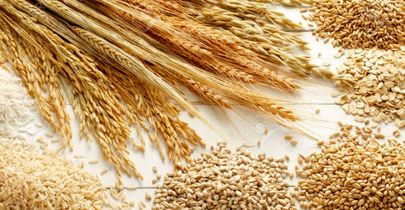 یک میلیون تن شن پشت ماجرای سبوس