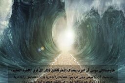 اعلام معجزه ای عجیب در نزدیکی قبر مطهر حضرت ابوالفضل