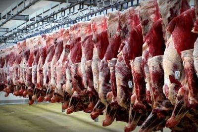 چرا گوشت ارزان نشد؟